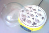 Mini Incubator 7 Egg Capacity Automatic Digital Chicken Duck Bird Hatch Tool