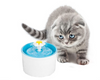 Dog Water Feeder Water Fountain 1.6L Pet Water Fountain Feeder Circulating Water