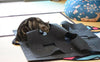 Cat Play Mat Collapsible Pet Rug with Hole Cat Training Scratching Grooming