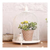 Séché Fleur Fer Housse Gâteau Housse Pot Plante Housse Table Décoration