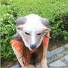 Goat Head Mask Rubber Latex Animal Costume Full head Mask Halloween Costume Fanc