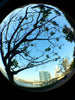 LQ008 Super Wide-angle Fisheye Macro Effects CPL filter Four Cell Phone Camera