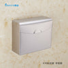 Stainless Steel Sanitary Toilet Tissue Carton  Wall Mounted K30 BRUSHED SILVER