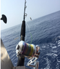 Saltwater Jiggling Reel 16W Trolling 2 Speed Tuna Fishing Offshore Sea Game 30kg