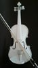 Student Akustische Violine 4/4 Ahorn Fichte mit Etui Schleife Harz Alle