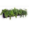 New Planter Bag Big Mouth Plant Planter Bag