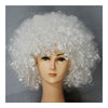 Afro Cosplay Curly Clown Party 70s Disco Cosplay Wig Cheering Squad Clown