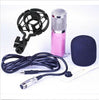 Professional Condenser Cardioid Recording 4 Broadcast Studio Computer Microphone