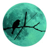 Noctulescents Oiseau Simple Horloge Murale