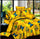 4pcs Suit 3D Reactive Dyeing Polyester Fiber Bedding Sets Queen King Butterfly
