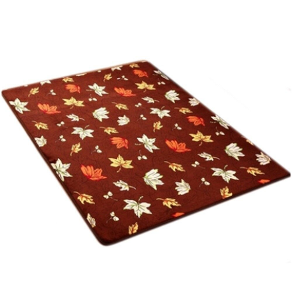 Carpet Coral Fleece Non-slip Door Mat   02  40*60cm