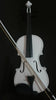 Student Akustische Violine Voll 4/4 Ahorn Fichte mit Etui Schleife Harz