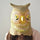 Owl Head Mask Rubber Latex Animal Costume Full head Mask Halloween Costume Fancy