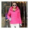 Winter Woman Hoodied Short Plus Size Down Coat   rose red