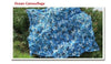 Camouflage Netting Filet NET  Trap Camping Sun Shield  Hunting Shelter jungle