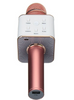 2600mah Portable Microphone de Karaoke sans Fil Micro Bluetooth USB Haut-Parleur
