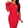Embroidery Skinny Skirt Long Sleeve Lace Dress