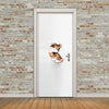 Neuf 3d Diy PVC Imperméable Porte Autocollant Mural Peering Vue Qd014