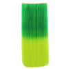 60cm Extension de Cheveux Pièce Dégradé Morceau Long Droit 55 Couleurs