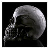 Resin Skull Human Skeleton Statue Halloween Tricky Toys