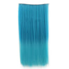 60cm Extension de Cheveux Pièce Dégradé Morceau Long Droit 55 Couleurs