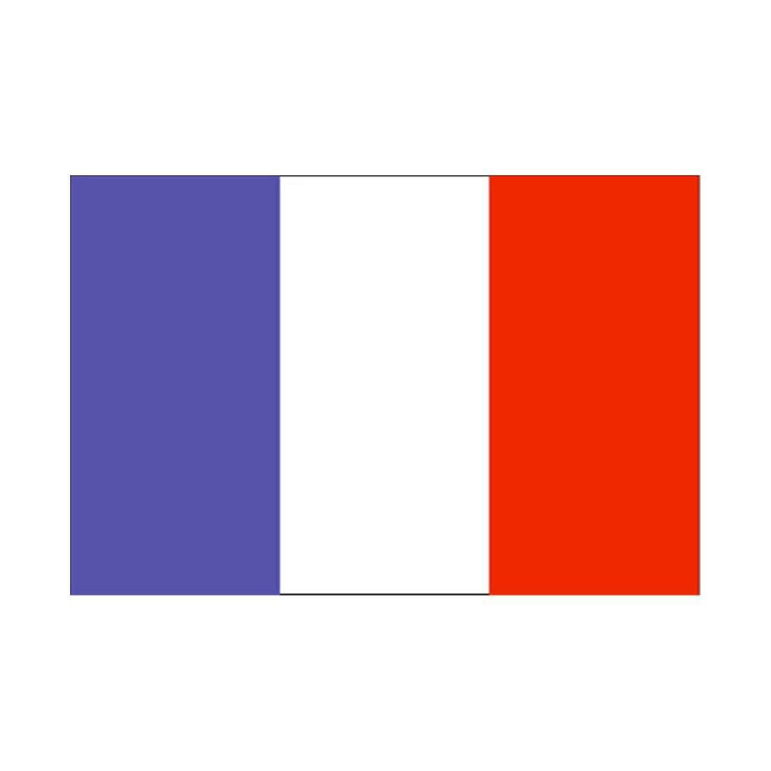 90 * 150 cm flag Various countries in the world Polyester banner flag    France