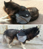 Dog Outward Hound Saddle Bags Dog Backpacks for Hiking or Camping Blue colour