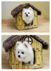 Pomeranian Bichon Petit Chien Niche Chien Maison S Bambou