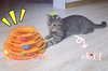 Funny Pet Kitty Cat puppy dog Toy Trilaminar Petstages Tower of Tracks Ball Disk