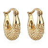 Moon 18K Gold Galvanized Zircon Earrings