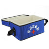 Vaccin Réfrigération Boîte Sac Portable