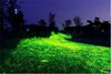 100 Piezas Fucsia Sintéticas Brilla en la Oscuridad Guijarros