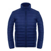 Light Thin Down Coat Man Stand Collar Winter Plus Size   blue