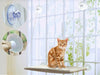 Window Mount Cat Bed Pet Hammock Pet Home Suction Cup Resting Seat