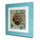Mediterranean Style Wall Hanging Decoration   shell