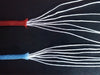 4mm X 30,5M Auxilio Line Escalada Acampada Hebillas Pulsera Paracaídas Cuerda