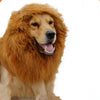 Animal de Compagnie Équipement Exclusif Chien Chat Perruque Lionhead Kit Collier