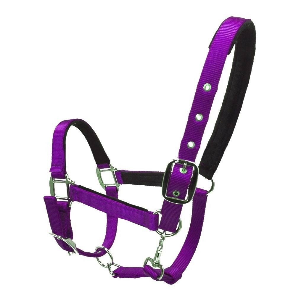 Bridle Headstall Wear-resisting Equestrianism Supplies   purple