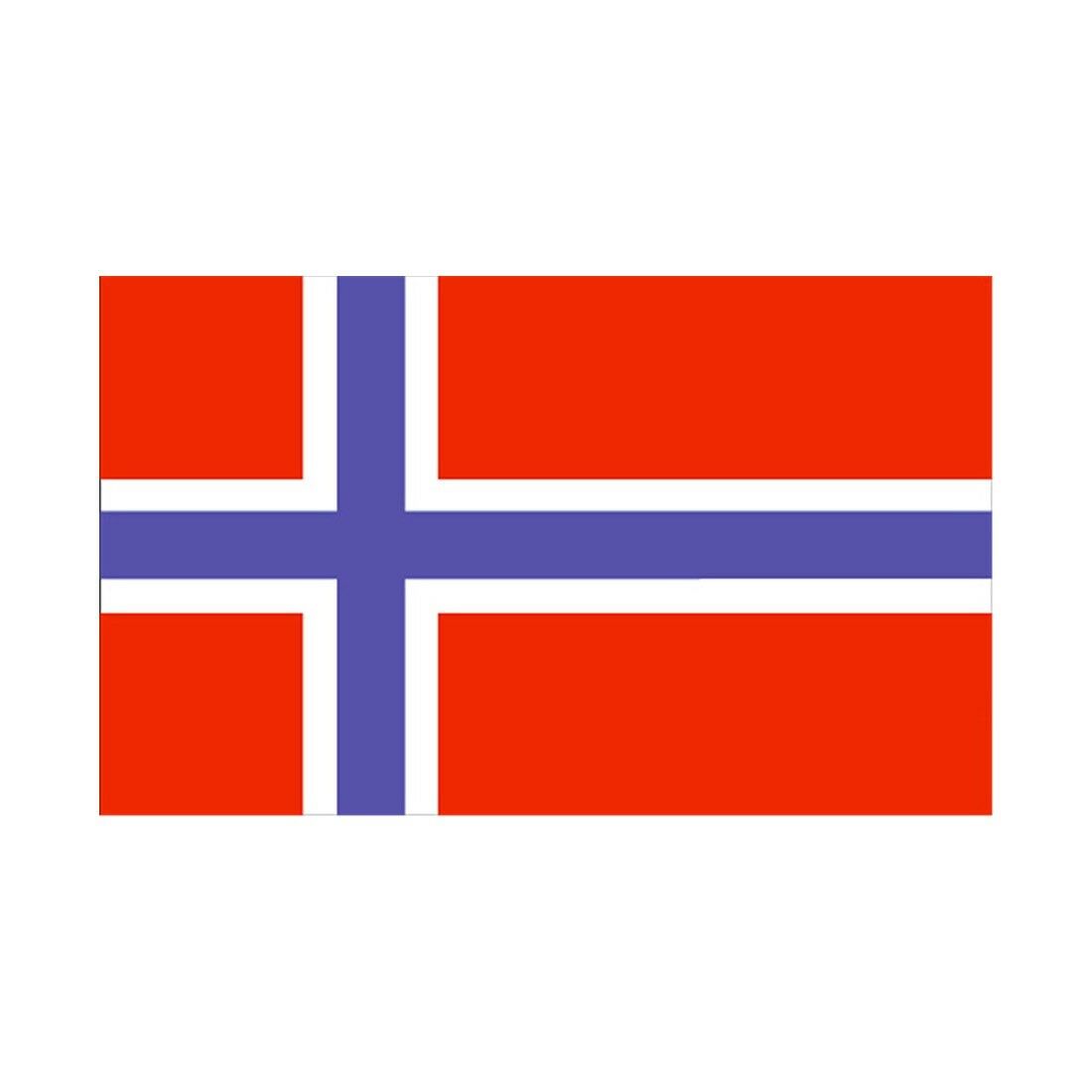 160 240 cm Flagge Verschiedene Länder in The World Polyester Fahne Norwegen