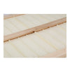 Bois Apis Mellifera Bee Reine Grille Apiculture Équipement