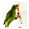Bird Parrot Natural Straw Snap Scratch Toy
