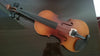 Student Akustische Violine Voll 4/4 Ahorn Fichte mit Etui Schleife Harz Classic