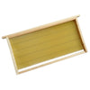 Apis Mellifera Apis Cerena Nid Cadre Rayon