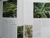 Rare and Precious Wild Flowers of China Vol.2