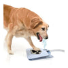 Animal de Compagnie Jouet pour Chien Pulvérisateur Printemps Arroseur Buveur