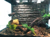 Reptile Shelter Hiding Cave Decor Flexible Habitat for Frogs Snakes Reptile