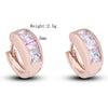 Diamanted AAA Zircon 18K Gold Galvanized Ear Studs