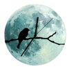 Noctulescents Oiseau Simple Horloge Murale