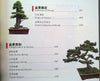 China Rot : Chinese Bonsai (Zweisprachig)