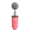 professional capacitance computer sound record microphone web KTV voice